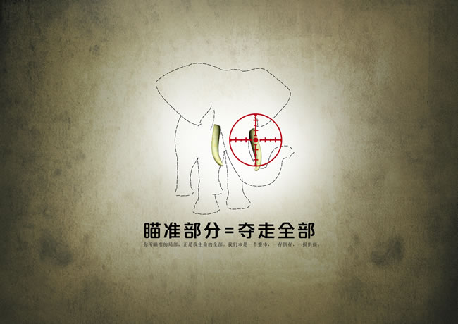保护大象宣传海报