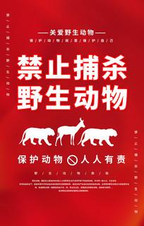 保护动物海报1