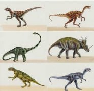 恐龙图片(恐龙种类大全高清)