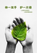 环保公益海报(简单的公益海报)